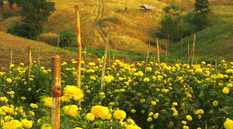 Melhores ofertas de aluguel de carros em Mae Sot